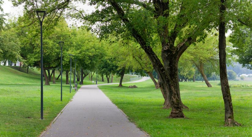 Ilyen lenne egy park, ha látássérültek terveznék