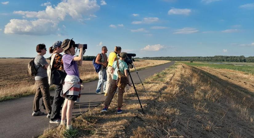 Madármegfigyelésre és -gyűrűzésre várják a természetbarátokat