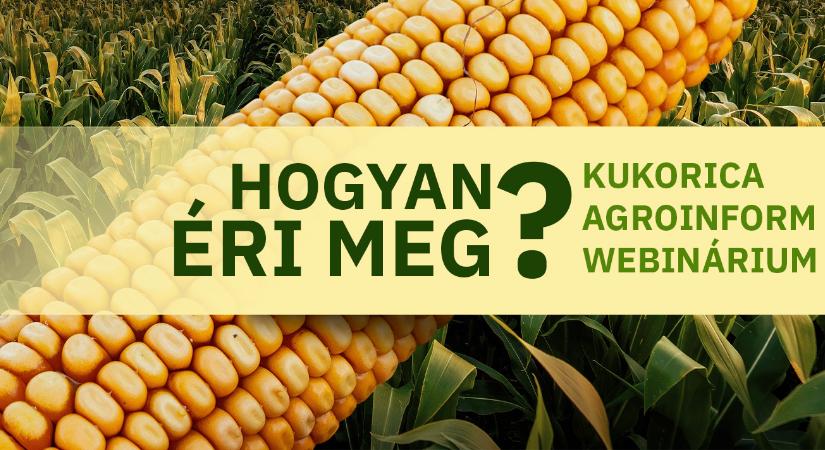 Hogyan éri meg? Kukorica Agroinform webinárium