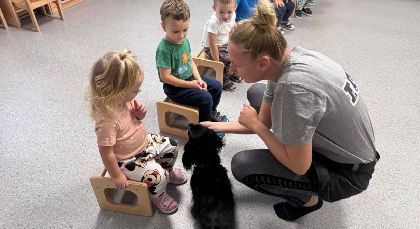 A zselicszentpáli bölcsibe látogattak a kutyaiskola négylábúi