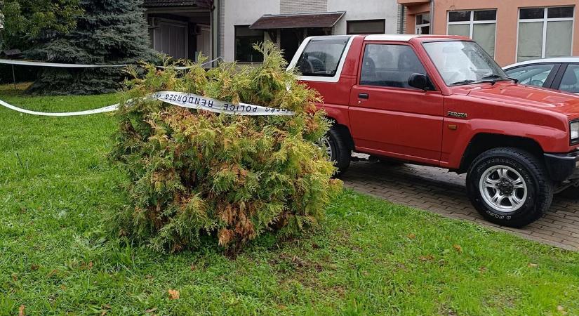 Hátborzongató részletek derültek ki a földvári gyilkosságról  videó