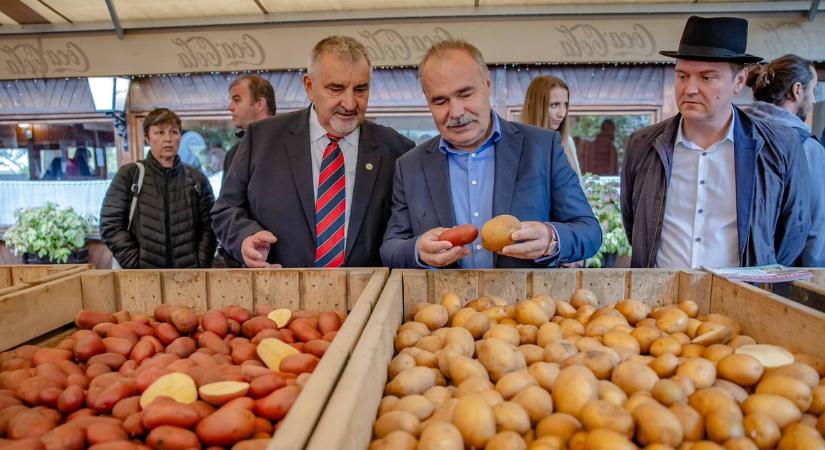 Burgonyariadót fújt a magyar agrárminiszter