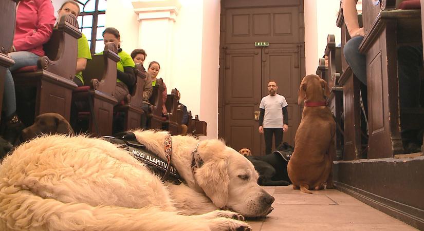 Terápiás kutyák is köszöntötték a paralimpikonokat a Nagytemplomban