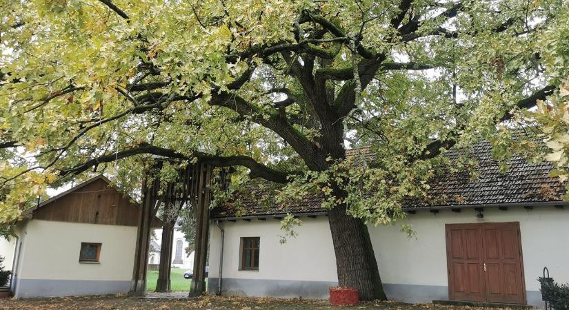 Tokaj-Hegyalja kicsi ékszerdoboza: melyik Borsod-Abaúj-Zemplén vármegyei településen jártunk? (fotók, videó)