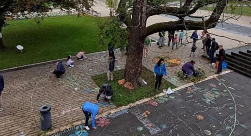 Megmentene a betontól és a térkő halmoktól egy szép egri fát?