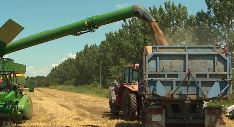 Csaknem 30 milliárd forint keretösszegű forrásokat igényelhetnek majd a pályázó gazdák  videó