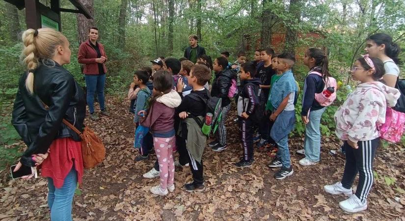 Hátrányos helyzetű gyerekek az erdei iskolában