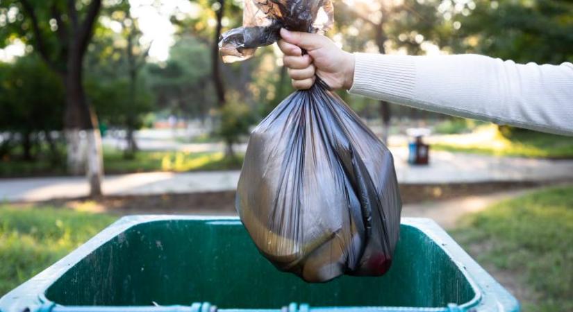 Kukába dobta a fia képregényeit a nő: döbbenetes módon állt bosszút a fiú