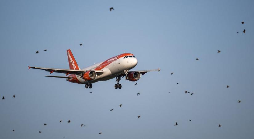 Jegy nélkül jutott fel az EasyJet járatára egy férfi, a kifutón vették csak észre