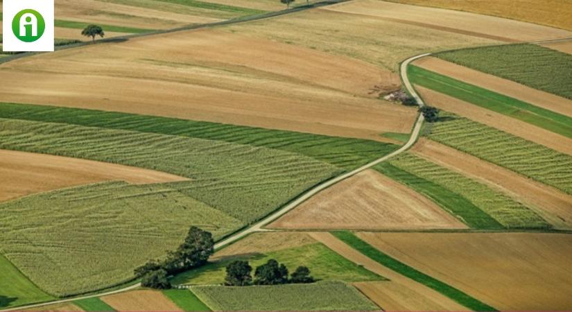 Terményárak, terméseredmények, aktuális pályázatok, tippek a jövedelmező termeléshez