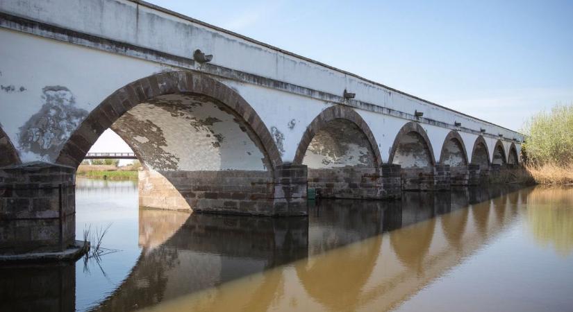 A kis lilik védelmén munkálkodnak a hortobágyi szakemberek