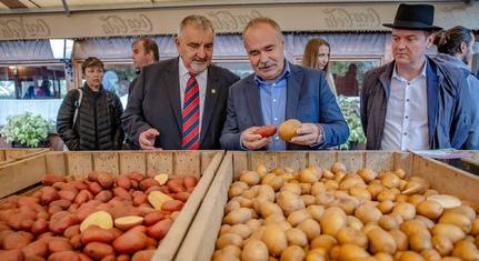 Burgonyariadót fújt a magyar agrárminiszter