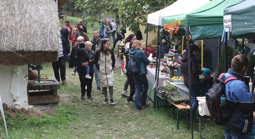 A sült gesztenye illata ismét körbelengte a cáki pincesort (galériával)