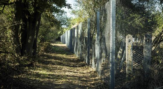 Drótkerítés, rendőrautók és tábori ágyak: 5 milliárdot szántak volna menekülttáborra Vitnyéden