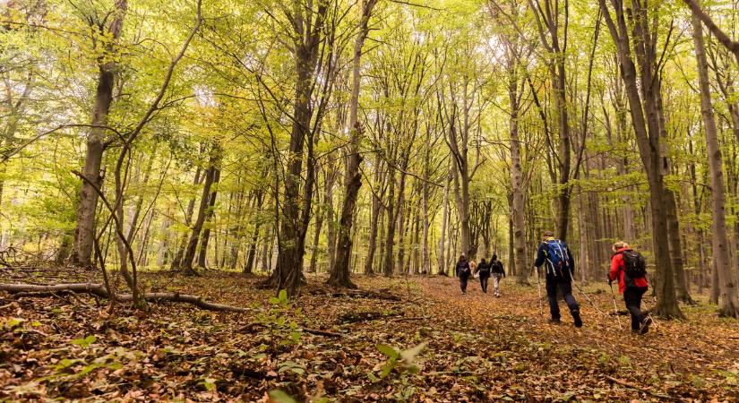 Az Őszi Mátra Teljesítménytúra indulóinak több mint kétharmada ért célba szintidőn belül