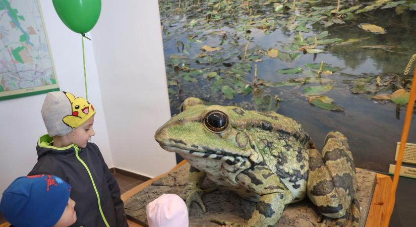 Látogatóból bőven akadt a tízéves desedai látogatóközpontban