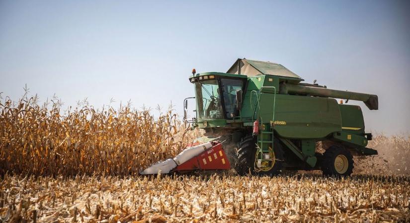 Gyorsan felejtené ezt az évet a jászkunsági agrárium, de aligha tudja – komor számok érkeztek