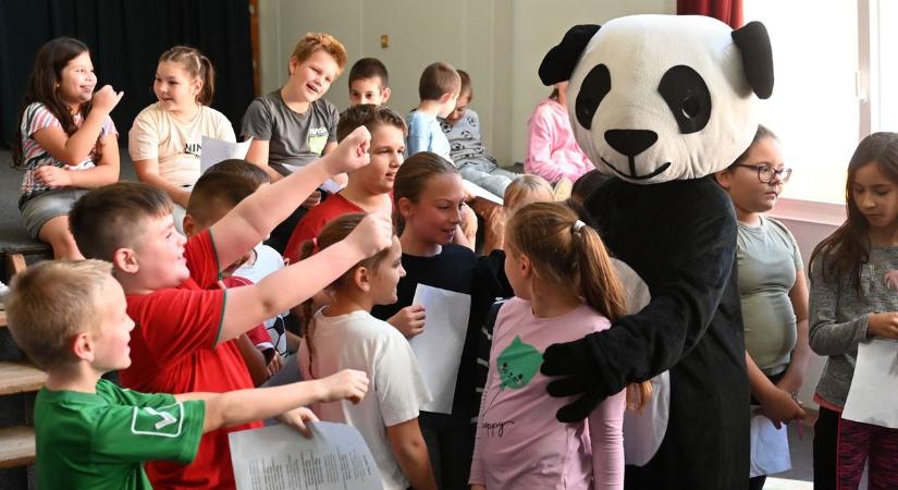 Pandamacik lepték el a Toldi-iskolát