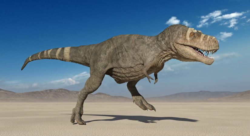 Egyedülálló külsejű, apró dinoszaurusz élt 110 millió éve a mai Brazília területén