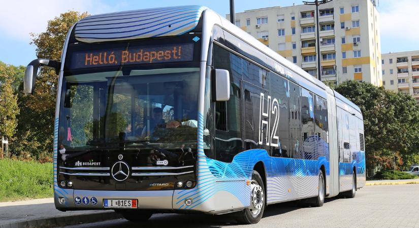 Itt a lehetőség az ingyenes buszozásra a fővárosban – képek