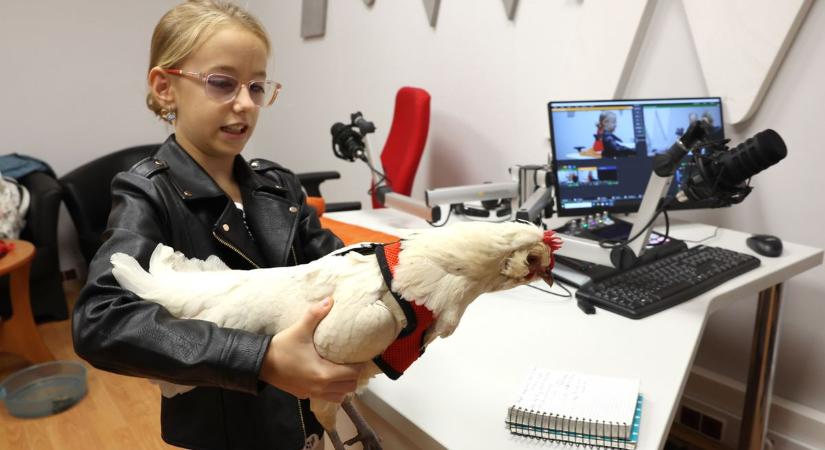 Nyári Napsugár, az ötödikes állatvédő elhozta stúdiónkba kis kedvenceit