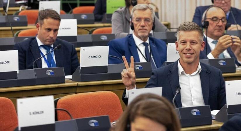 Magyar Péter fingatja a fideszes mamelukokat az Európai Parlamentben