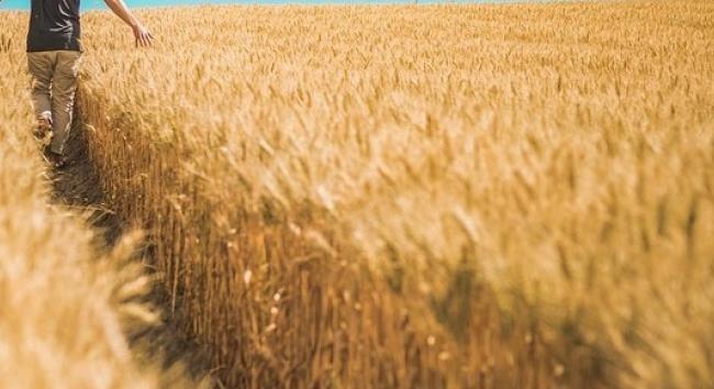 Az őstermelők már saját maguk is létrehozhatják hatósági bizonyítványukat