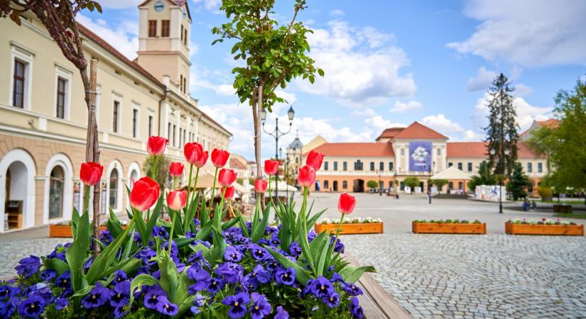 Két székelyföldi város is pályázik a klímasemlegességi vetélkedő országos döntőjére