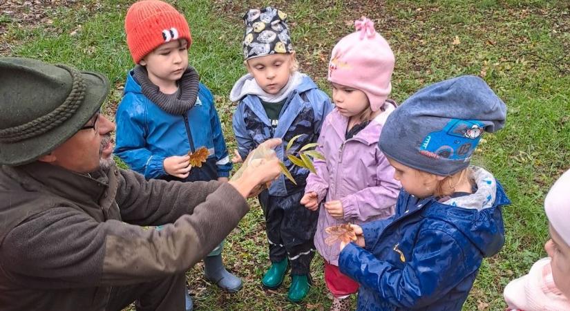 A Waldorf óvodások játszva tanultak a természetről az erdőben