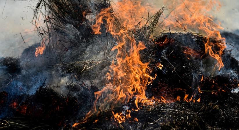 Lomok gyulladtak meg az utcán Szegeden