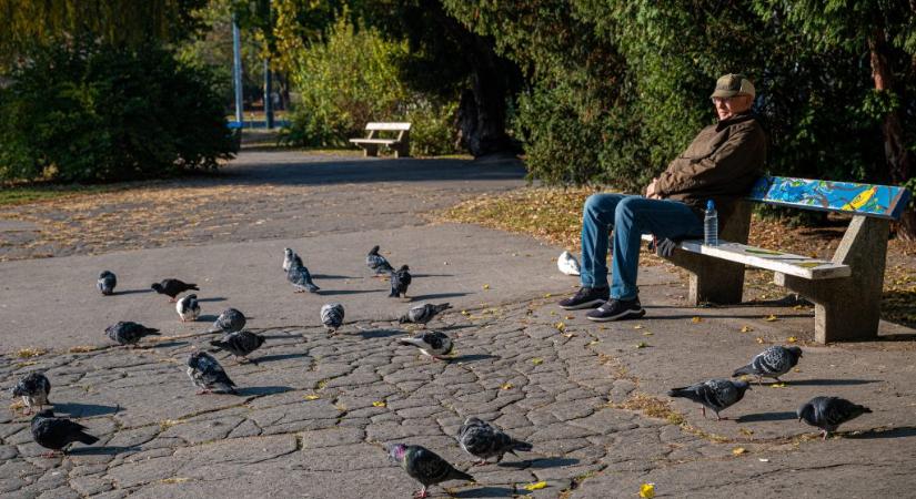 Lassan körmünkre ég a kötelező nyugdíjreform, de még sehol sem tartunk