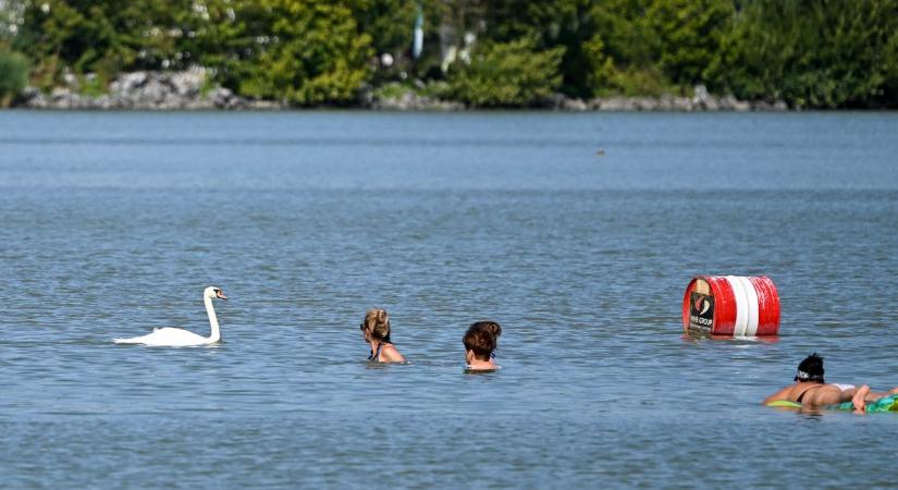 Heteken át folyt a szennyvíz a Balatonba – be kellett zárni a strandot