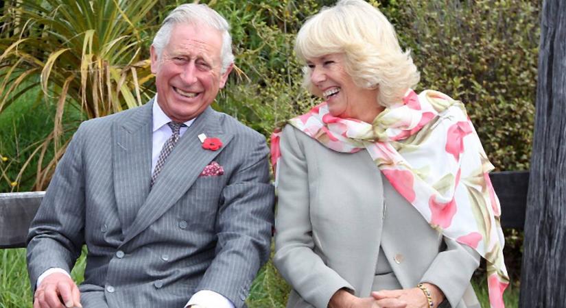 Széttrolkodták Károly herceg és Kamilla hercegné karácsonyi posztját a Diana-rajongók