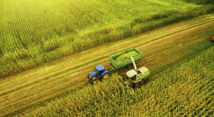 Megszólalt a szakértő: hatalmas változások küszöbén áll a hazai agrárium, erre számíthatunk