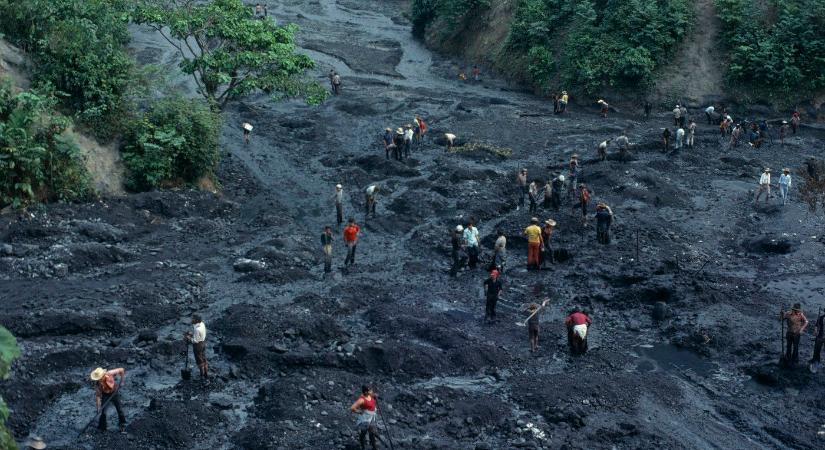 Gigantikus, ősi giliszta-szörnyet fedeztek fel egy brazil bánya építésekor, a sokat látott biológusok is megrettentek