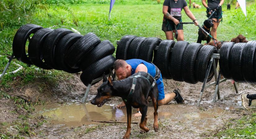 Sárban, szélben és rózsaszínben küzdötték le Gödöllőt a kutyások