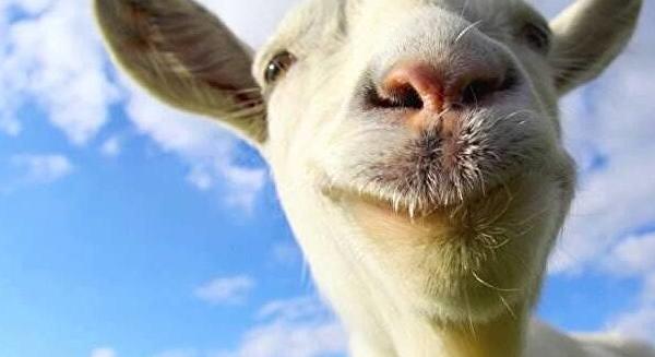 Gameplay traileren a Goat Simulator Remastered