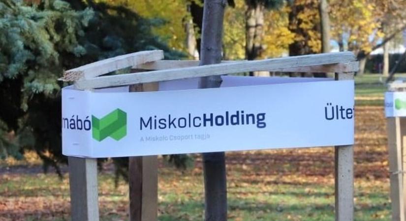 Mutatjuk: ők lettek a Miskolc Holding új vezetői