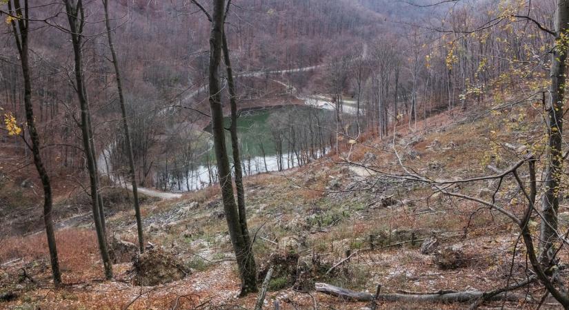 Az utolsó utáni pillanatban érkezett a segítség, a sziklán lógva találták meg az idős nőt a Bükkben