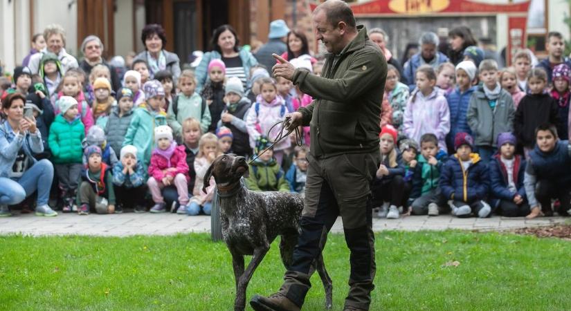 A Nagyerdő napját ünnepelték a debreceni erdei iskolában – fotókkal, videóval