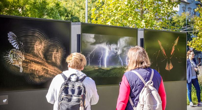 Magyarország legjobb fotói között sétálgathat a Városligetben – videóval