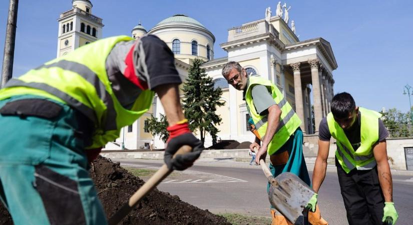 Már ültetik az őszi virágokat Egerben videó