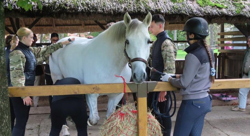 Hódmezővásárhelyen startolt elsőként az Ifjú Huszár Program – galériával