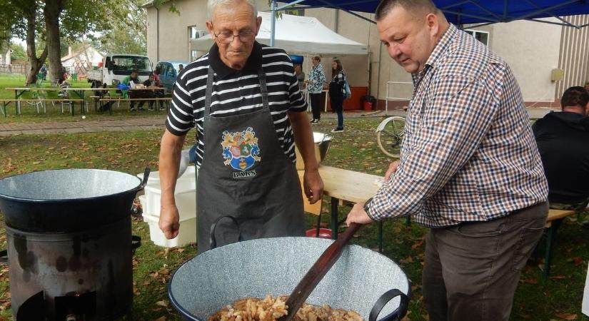 Töpörtyű fesztivál Bakson