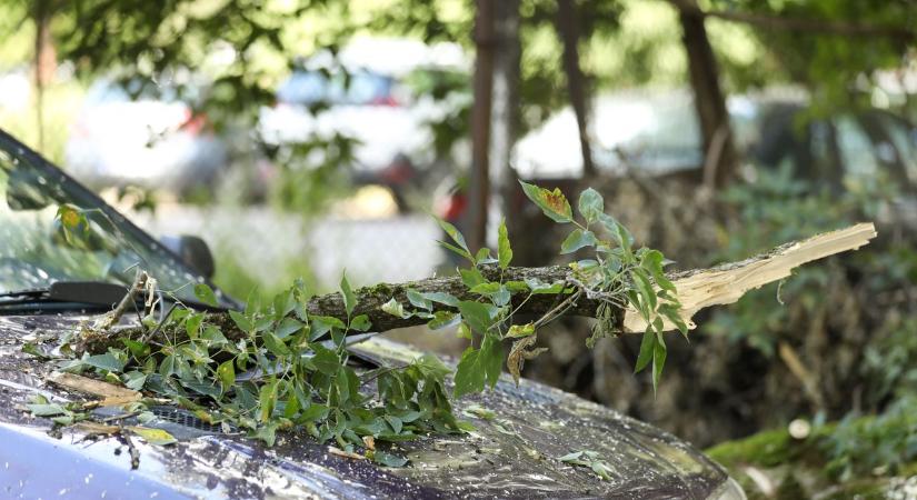 Fának csapódott a személyautó Szalánta közelében