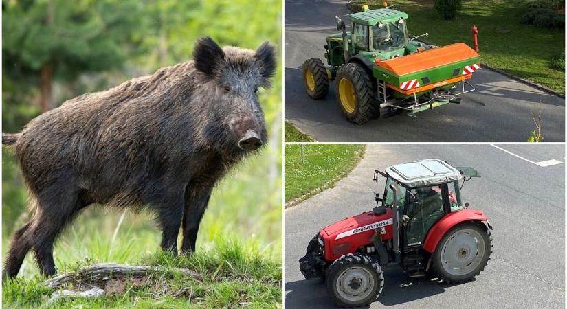 Falusi panaszok – A traktor vagy a vaddisznó a zavaróbb? Véleményeket várunk! (videó)