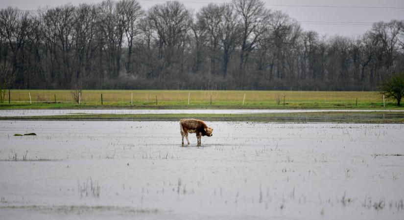 Hajdú-Bihar megyében is indul mintaprojekt a vizek visszatartására