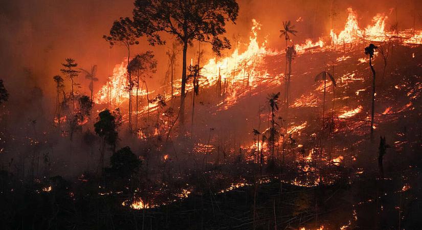 Brazília területének 60 százalékát füst borítja az amazóniai erdőtüzek miatt