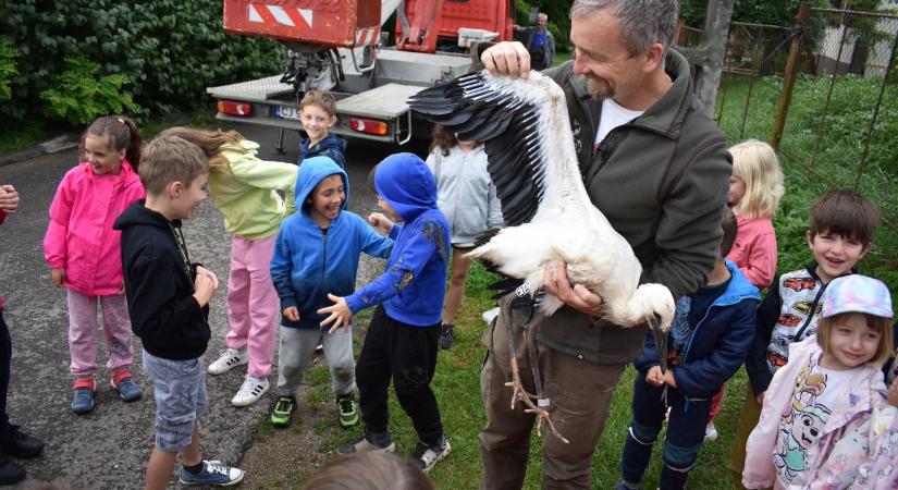 Sokba fájhat a szülőnek az iskolai Zöld hét