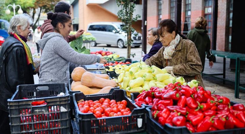 Standokon az ősz slágerei: a sütőtök, a cékla, a fekete retek